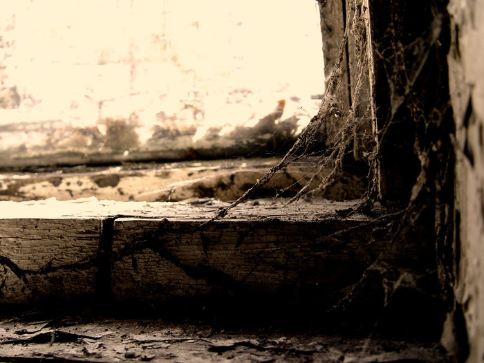  (700x525, 94Kb)