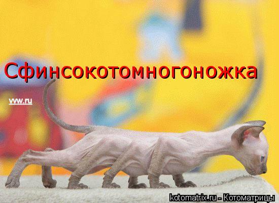  (550x400, 39Kb)