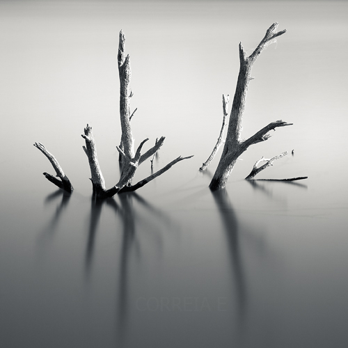  (500x500, 129Kb)