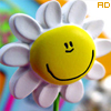 happy1 (100x100, 13Kb)