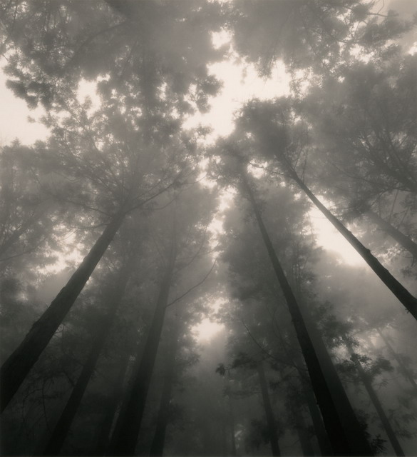  (585x640, 84Kb)