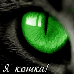  (150x150, 16Kb)