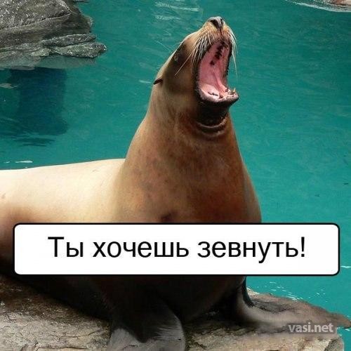  (500x500, 53Kb)