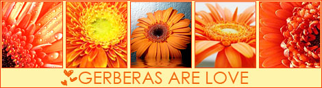 25043158_1186324472_orange_gerberas (470x129, 53Kb)