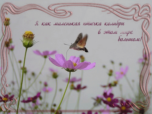  (500x375, 110Kb)