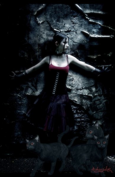  (389x600, 40Kb)