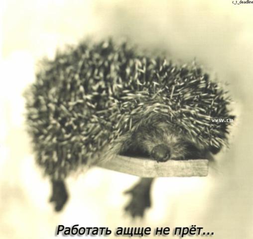  (508x480, 27Kb)
