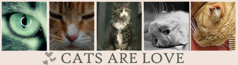 25508471_1211446074_17873309_cats_are_love (471x129, 61Kb)