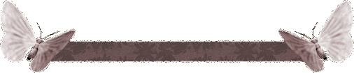  (506x105, 33Kb)