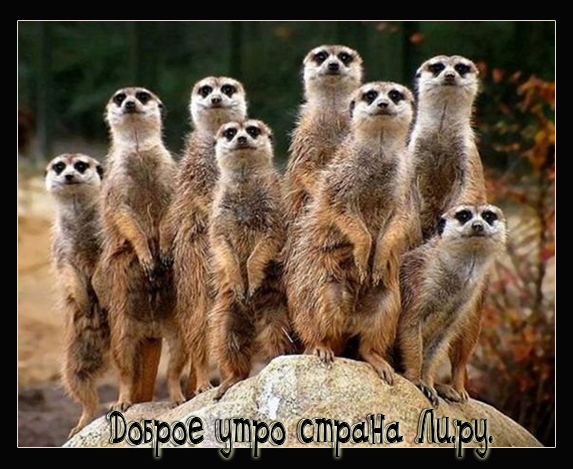  (573x469, 237Kb)