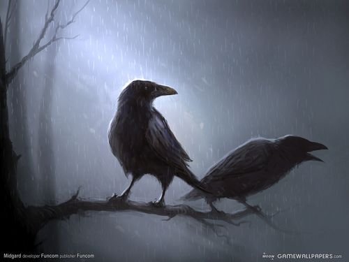  (500x375, 21Kb)