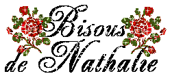  (248x111, 11Kb)