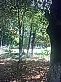  (120x160, 7Kb)