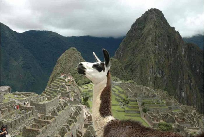  (700x469, 48Kb)