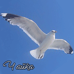  (150x150, 45Kb)