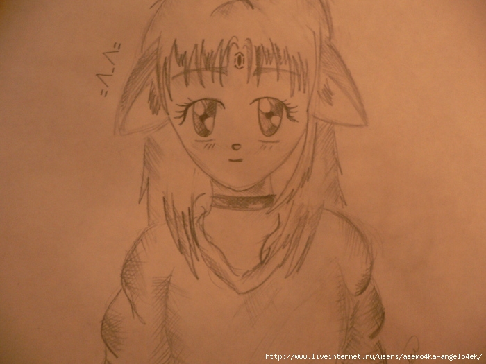 P1040447 (700x525, 134Kb)
