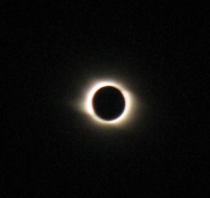 (300x284, 23Kb)