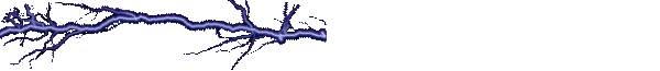  (600x65, 43Kb)