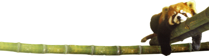  (698x189, 298Kb)
