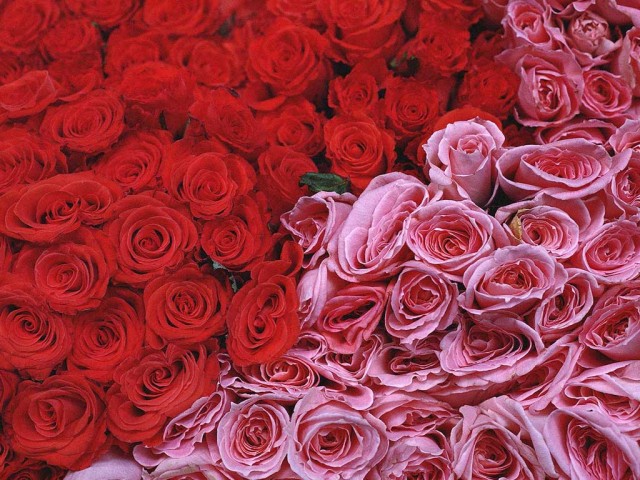  (640x480, 123Kb)