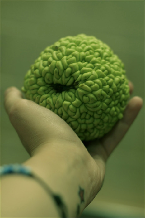  (466x699, 77Kb)