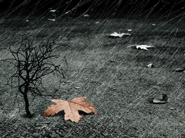  (591x443, 103Kb)
