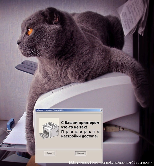  (500x540, 90Kb)