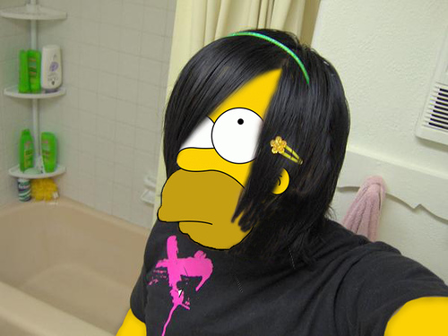  (500x375, 73Kb)