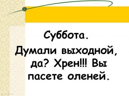  (450x335, 24Kb)
