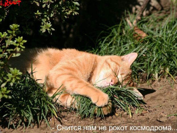http://img0.liveinternet.ru/images/attach/b/3/3/790/3790501_020.jpg