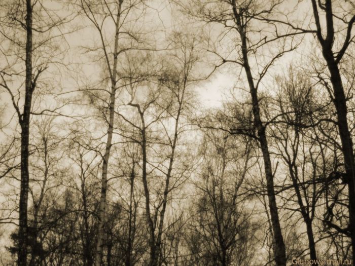  (700x525, 100Kb)