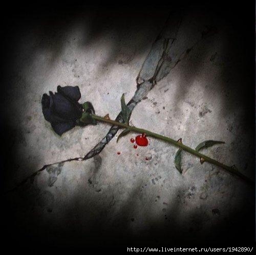  (500x499, 30Kb)
