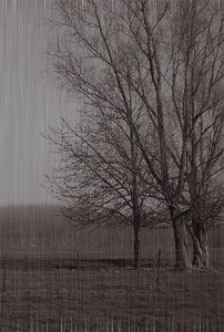  (202x300, 186Kb)