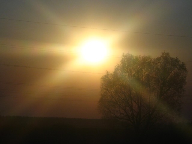  (640x480, 35Kb)