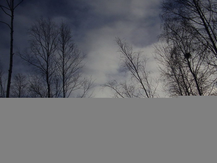  (700x525, 81Kb)