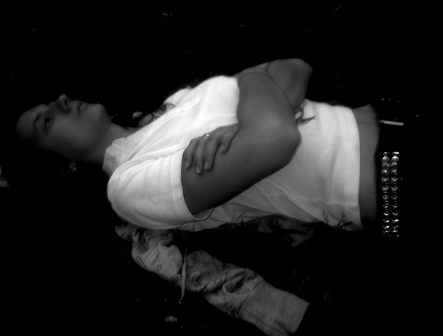 Cdtnf111 (632x480, 49Kb)