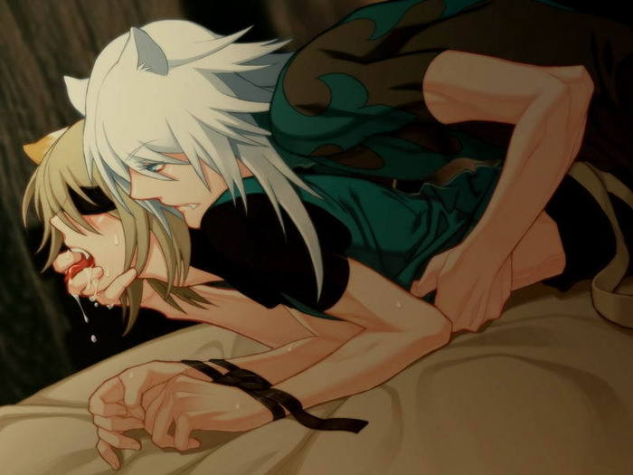  (700x525, 38Kb)
