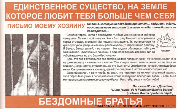3983853_2368955_Bezdomnuye_bratya (600x368, 217Kb)