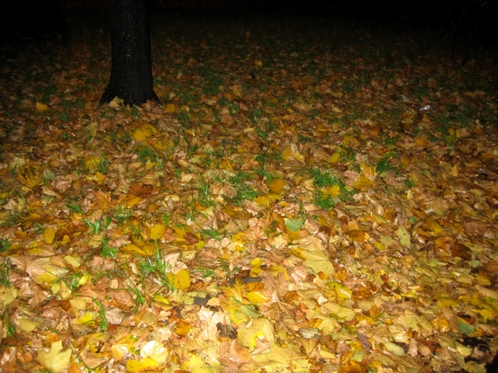  (700x525, 238Kb)