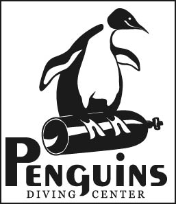  (257x297, 37Kb)