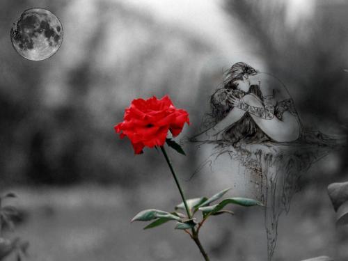  (500x375, 19Kb)