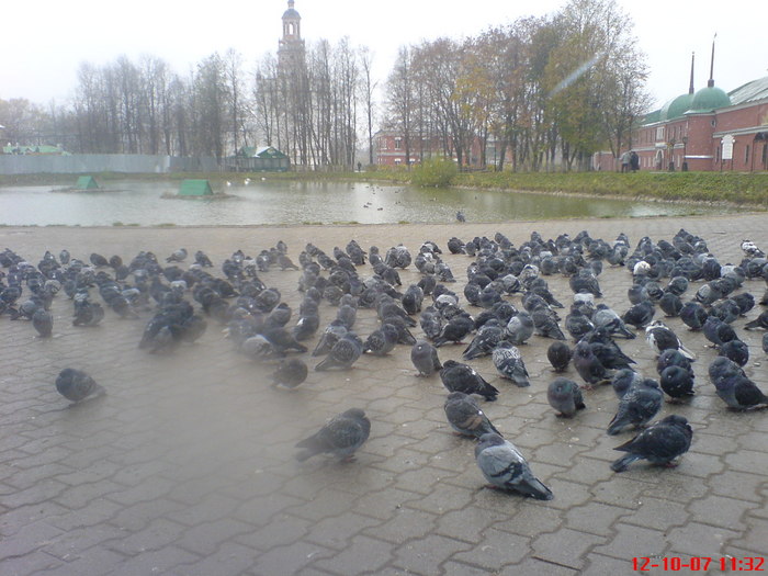  (700x525, 98Kb)