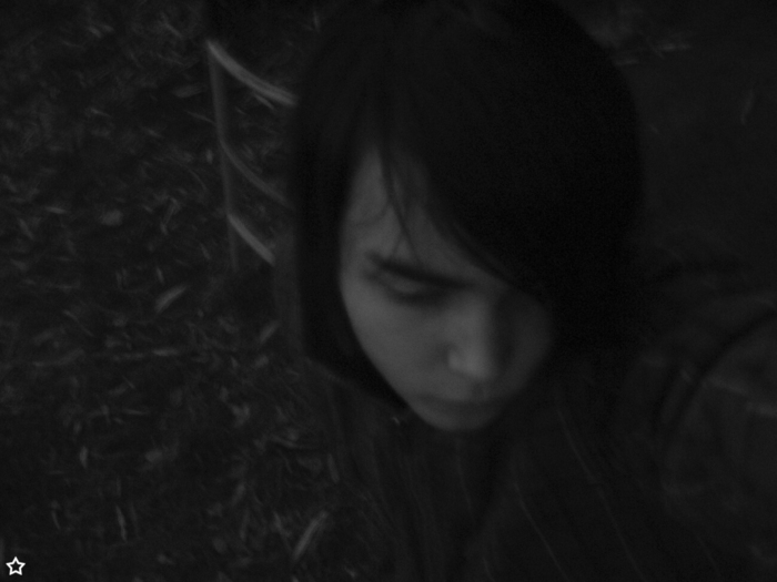  (700x525, 118Kb)