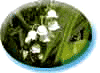  (100x73, 4Kb)