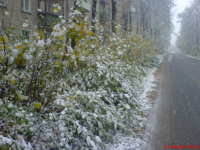  (700x525, 119Kb)