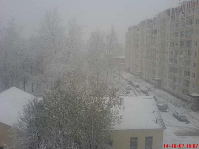 DSC00391 (700x525, 100Kb)