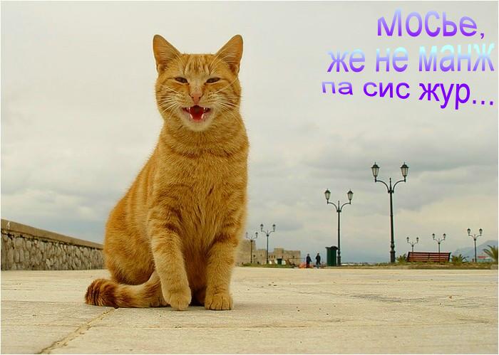  (700x499, 46Kb)