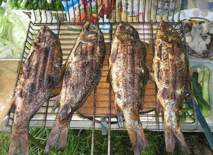 Как приготовить рыбу на мангале на решетке рецепт с фото
