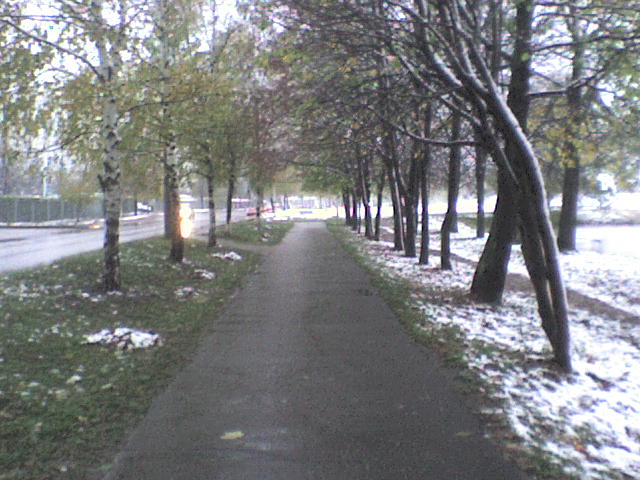 DSC00677 (640x480, 74Kb)