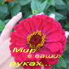  (100x100, 15Kb)